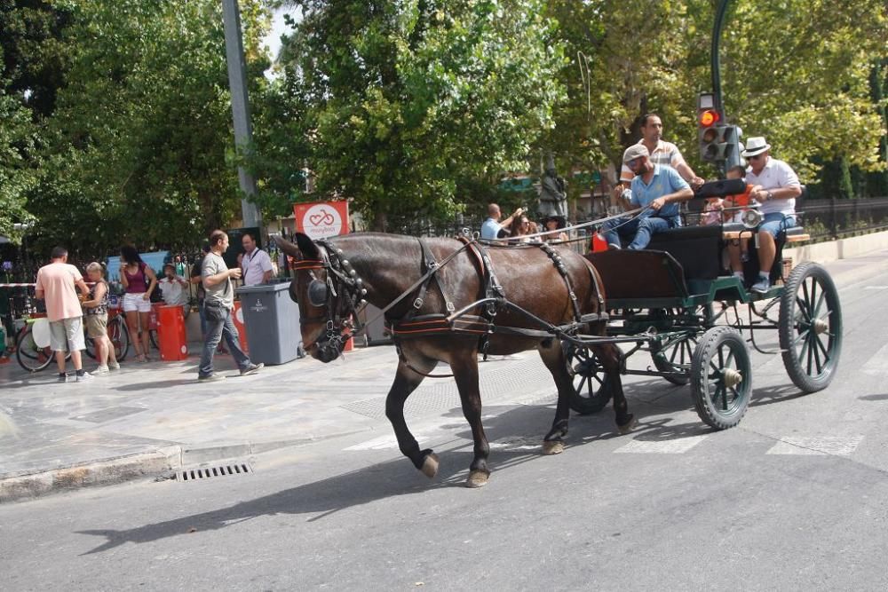 Día del caballo en la Feria de Murcia 2018