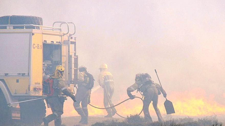 Recuperar el presente de la Sierra de la Culebra para tener futuro