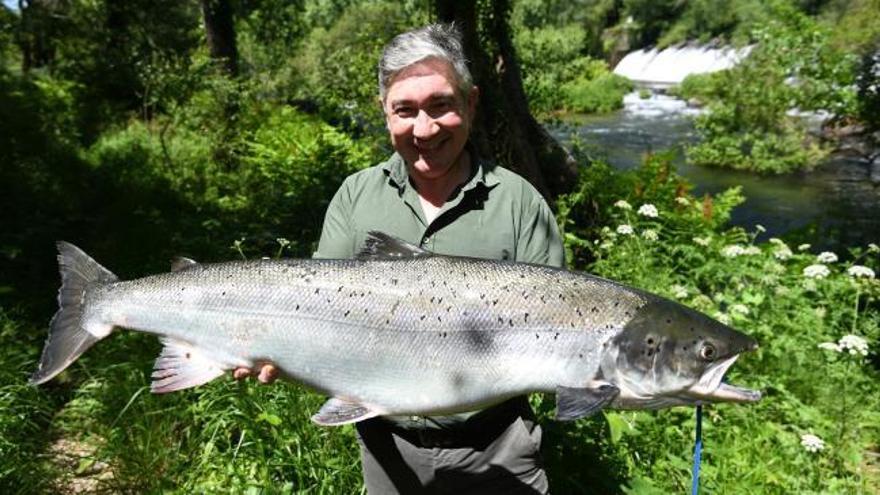 Cae el "campanu" del Lérez y bate récords históricos: casi 11 kilos