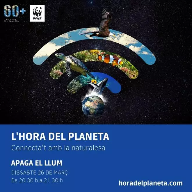 La Hora del Planeta en Mallorca: Palma apagará las luces del Ayuntamiento, la Catedral, el castillo de Bellver y dos fuentes ornamentales