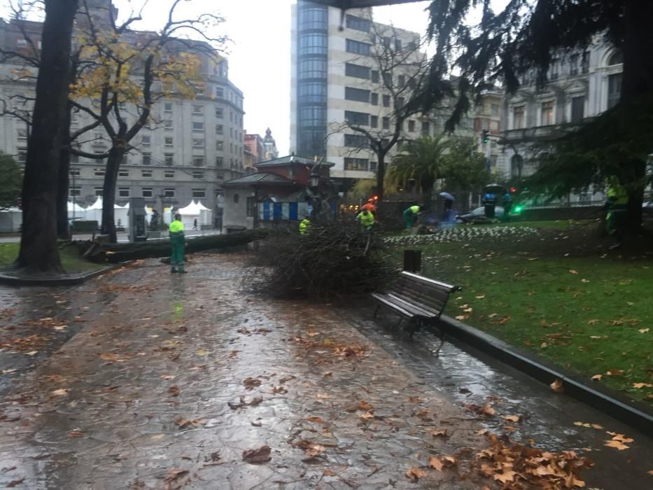 Destrozos en El Escorialín