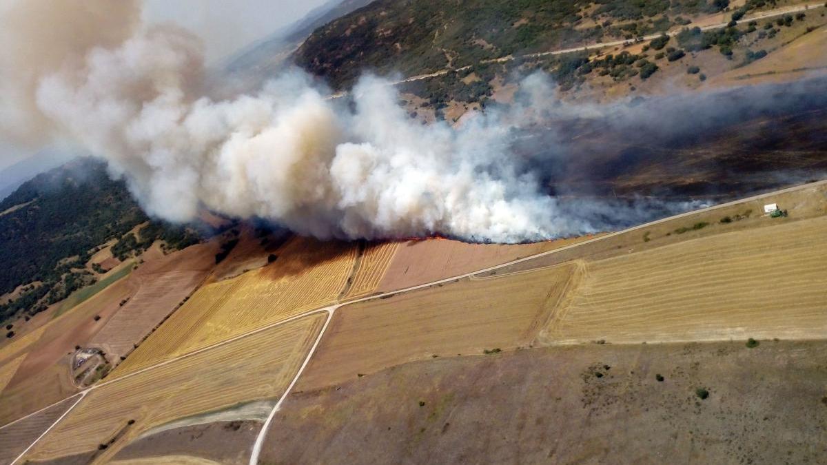 El incendio de Colina (Burgos) baja a nivel 0 tras quemar 100 hectáreas de cereal y matorral