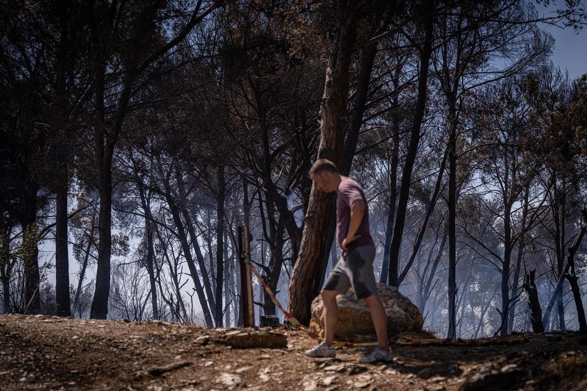 Los Bombers confían en perimetrar pronto el incendio forestal en Gavà que ha obligado a confinar a 6.000 personas