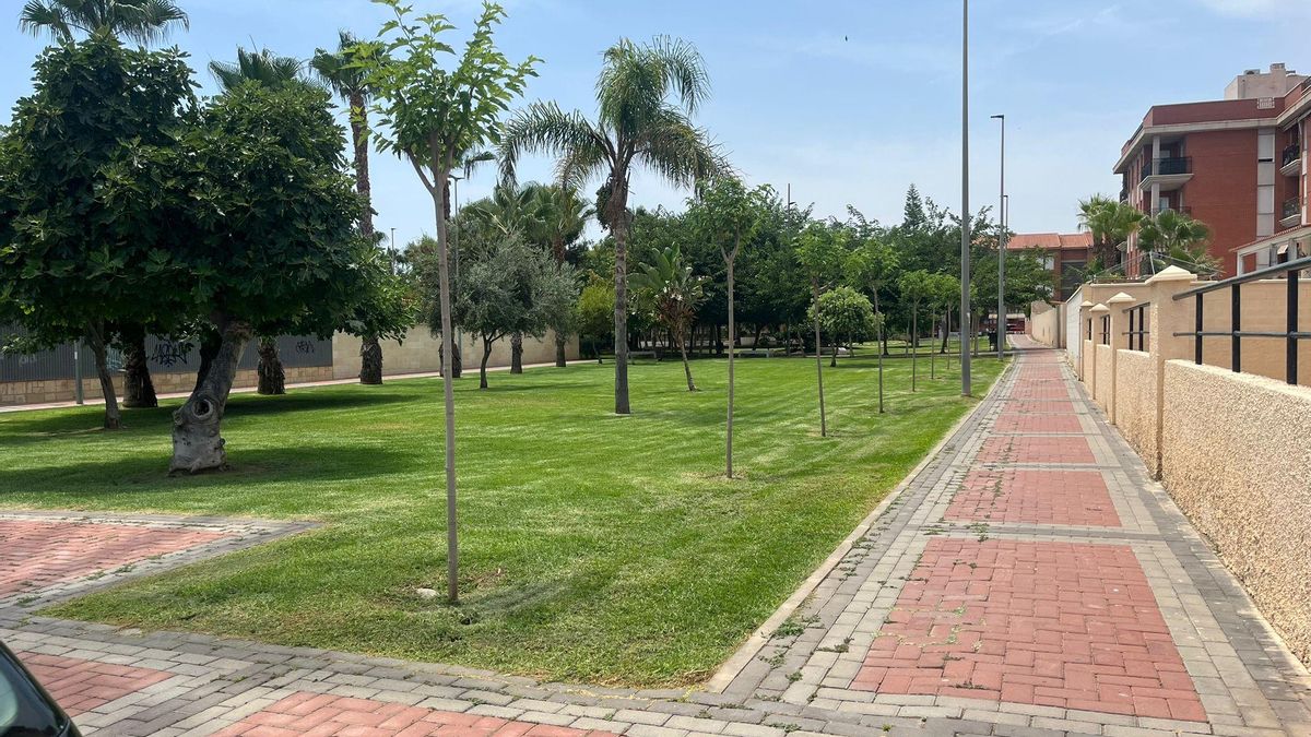 Se han plantado 63 ejemplares.