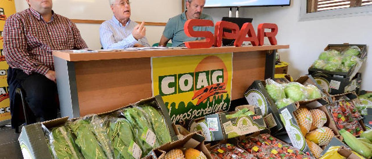 Un joven recoge papas en la finca de Lomo Blanco que irán directamente a un supermercado de la cadena Spar, ayer.