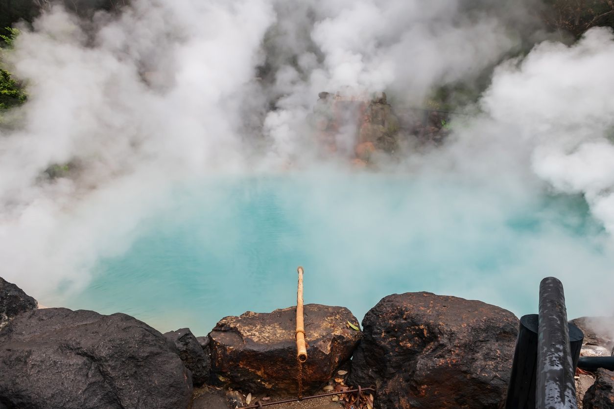 Por aquí te puedes encontrar al hipopótamo