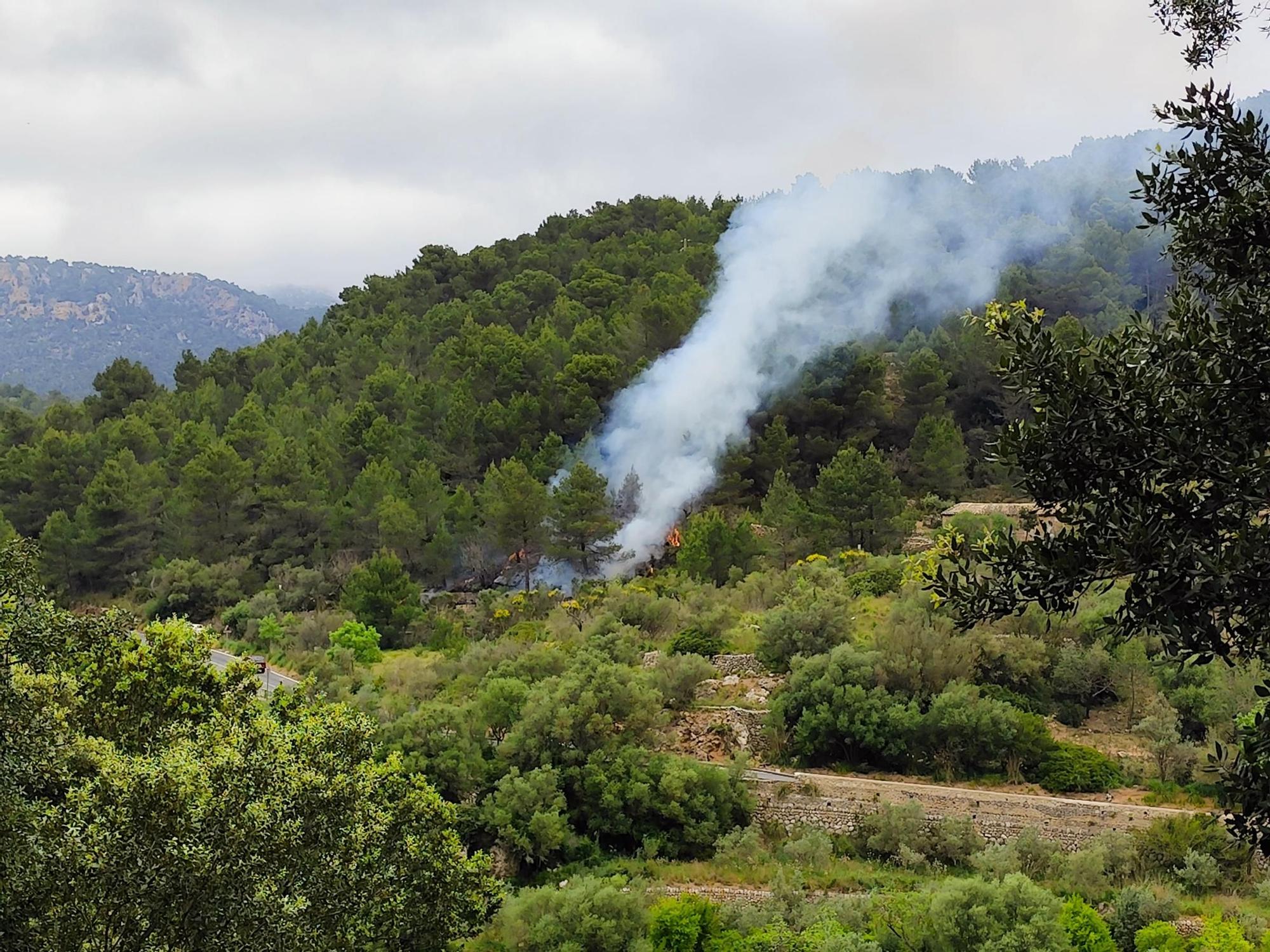 Incendio en s'Estret de Valldemossa