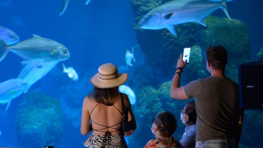 Los hoteles turísticos facturaron en verano un 45% menos que antes de la covid