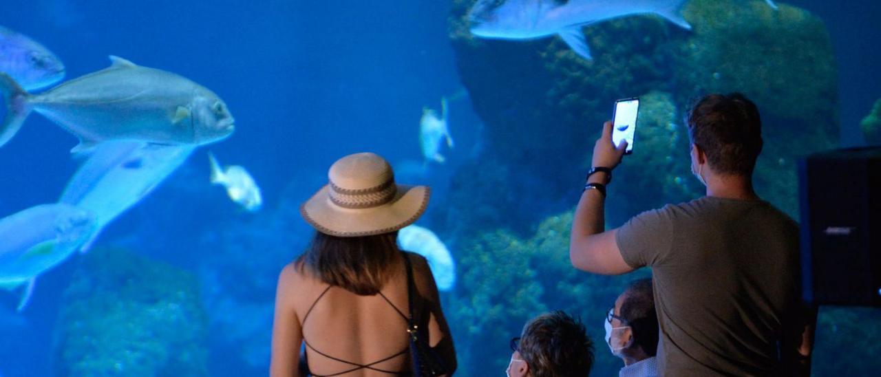 Turistas de visita en el acuario de la capital grancanaria. |