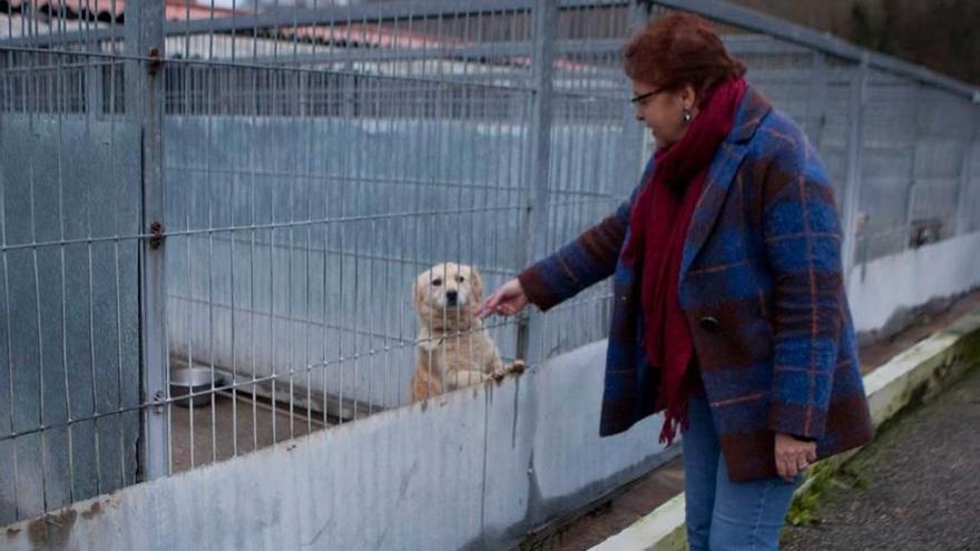 Lola Moreno, junto a uno de los perros del albergue.