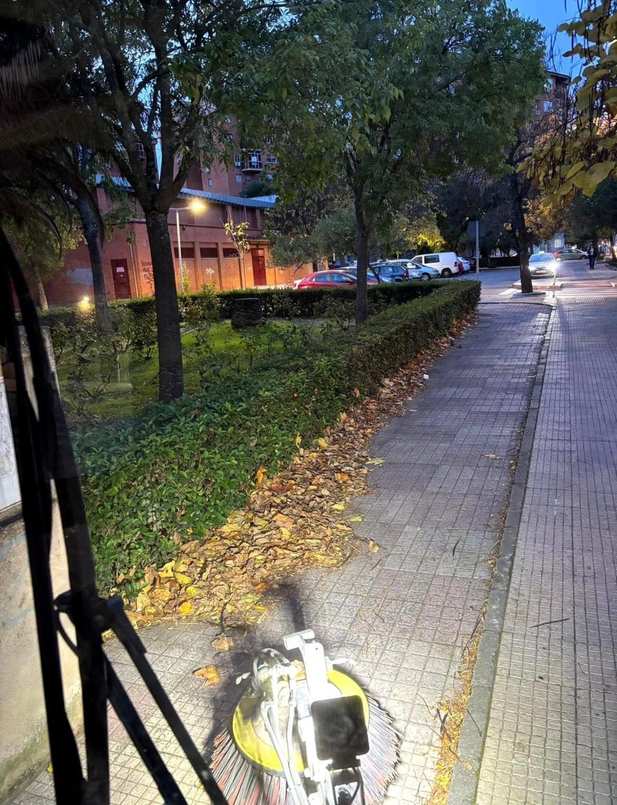 Caída de las hojas en las inmediaciones del pabellón de Moctezuma.