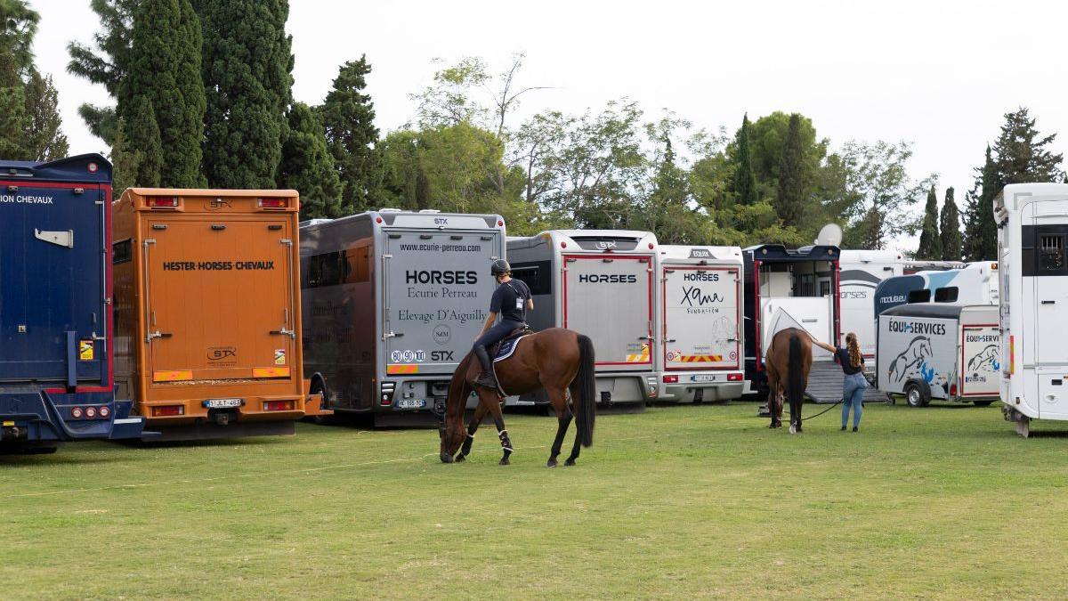 Los caballos viajan en tráilers especialmente adaptados a sus necesidades, con una atención minuciosa a cada detalle