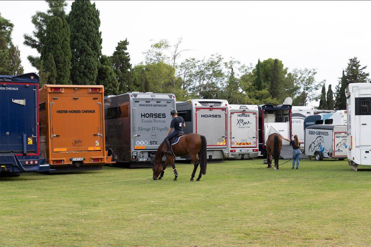Los caballos viajan en tráilers especialmente adaptados a sus necesidades, con una atención minuciosa a cada detalle