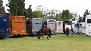 Los caballos viajan en tráilers especialmente adaptados a sus necesidades, con una atención minuciosa a cada detalle