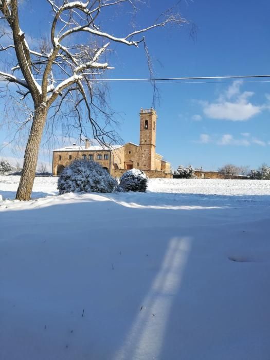 Paisatge matinal nevat a la Catalunya Central