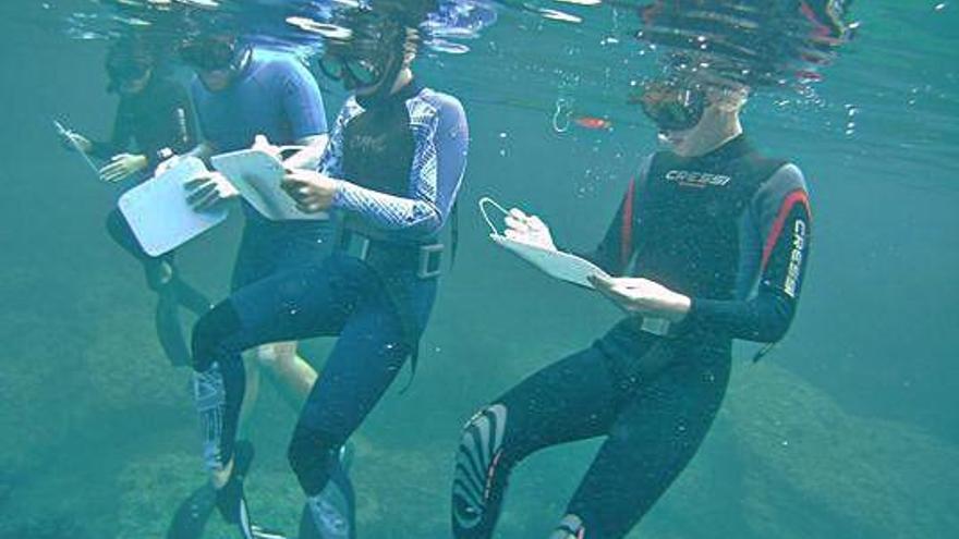 Tes dels cinc estudiants investigant dins l&#039;aigua.