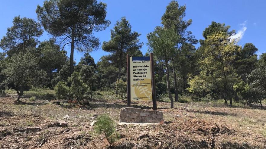 La Sierra Salinas está declarada Paisaje Protegido.