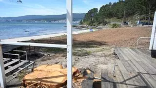 El BNG de Poio pide la restauración ambiental de la playa de Cabeceira tras la tala de sus árboles