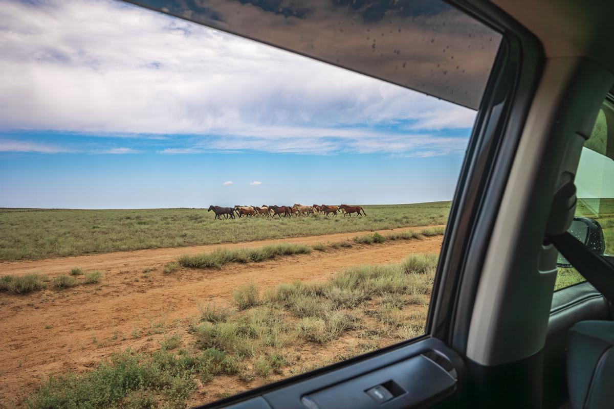 Viaje a Zhygylgan, en las estepas del oeste de Kazajistán.