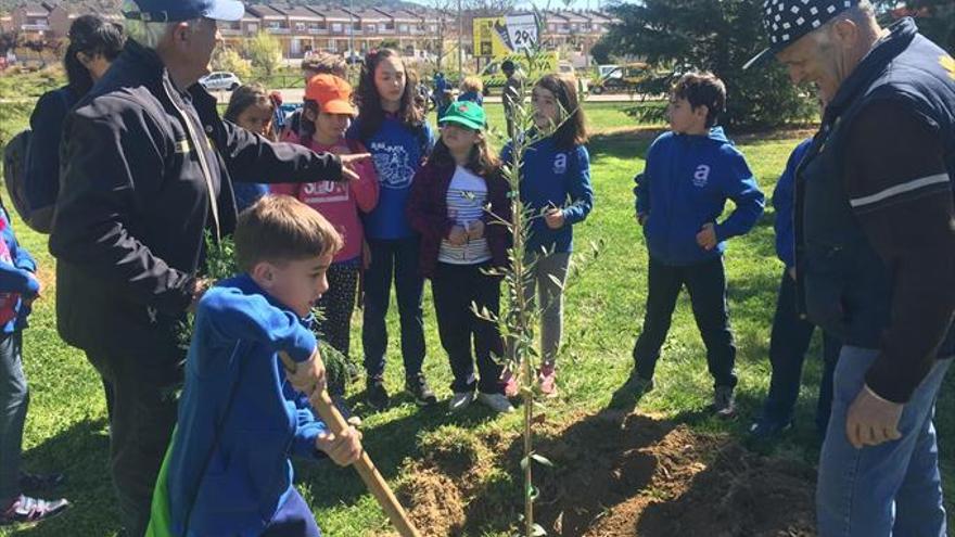 Un árbol llamado Rosalía