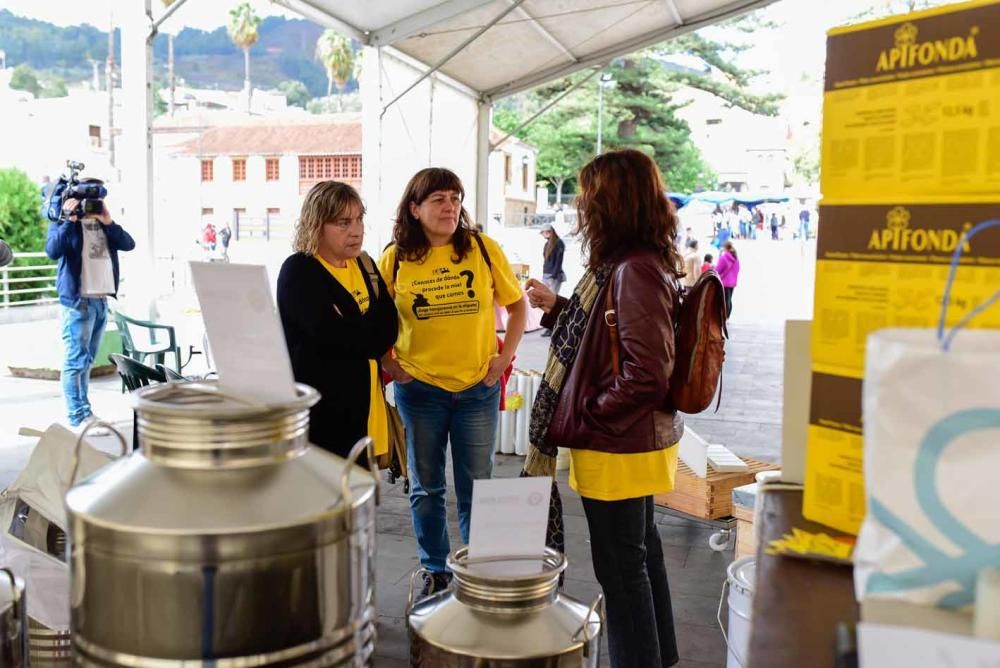 Jornadas apícolas en Teror