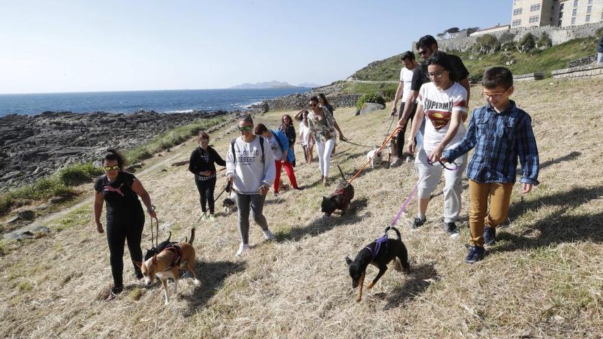 Los perros se quedan sin playa a partir de junio // R. Grobas