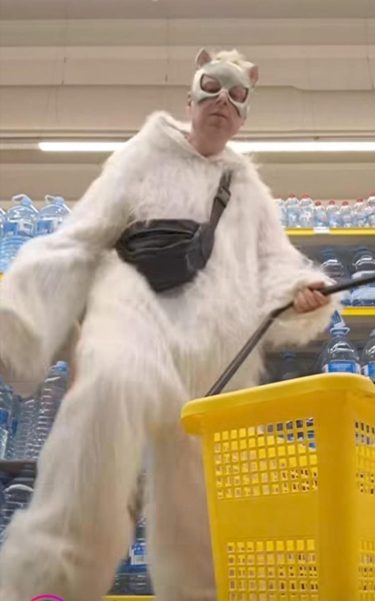 Omaruco, en situación gatuna.