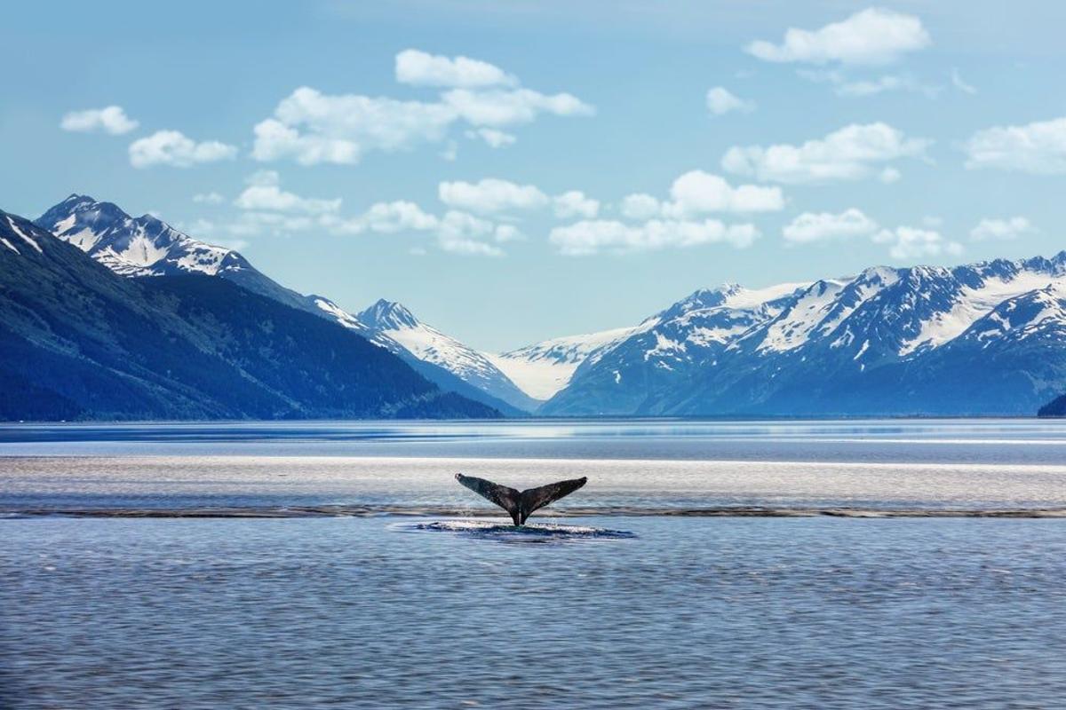 Alaska: Más conectada