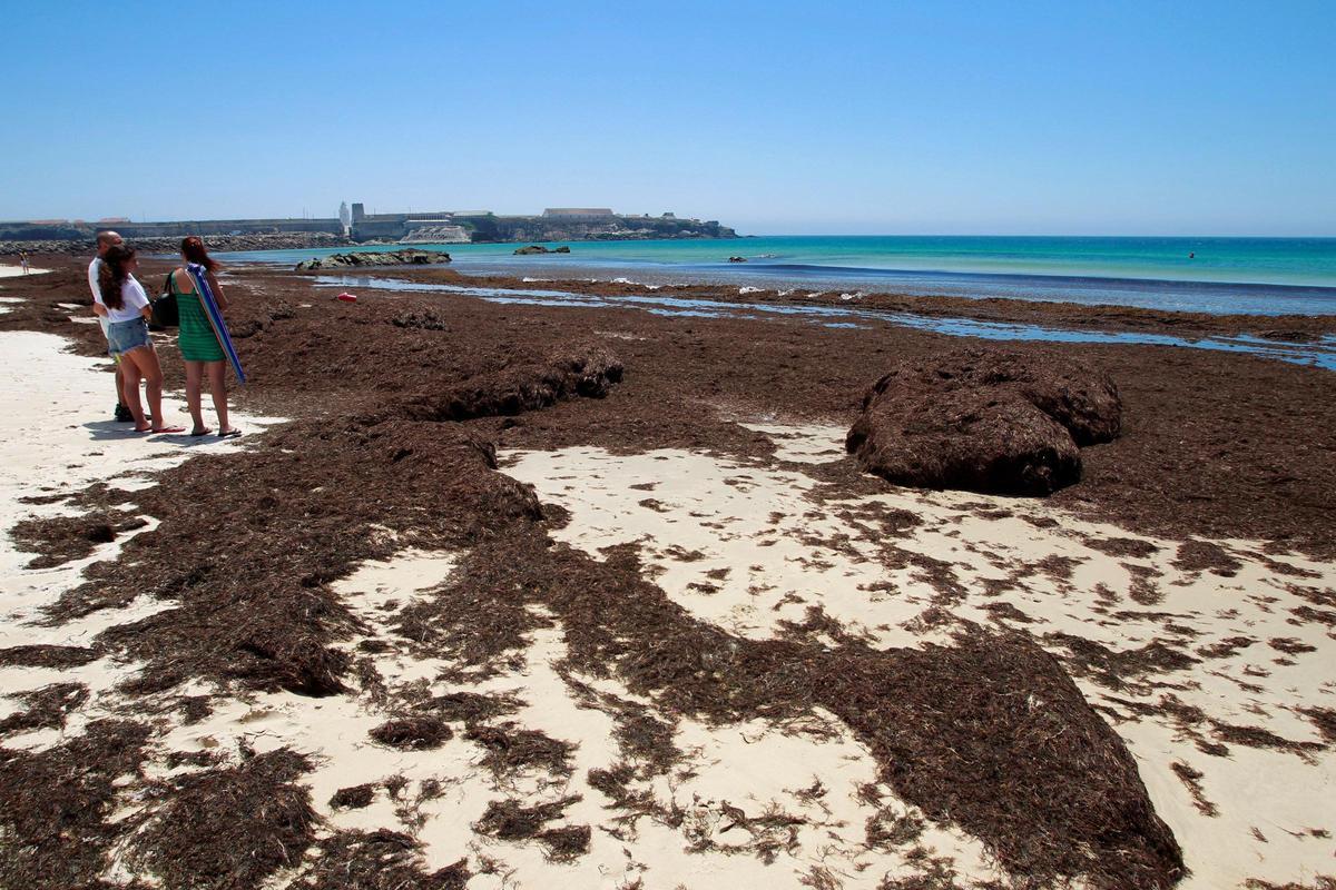 Imagen de archivo de una playa de Tarifa.