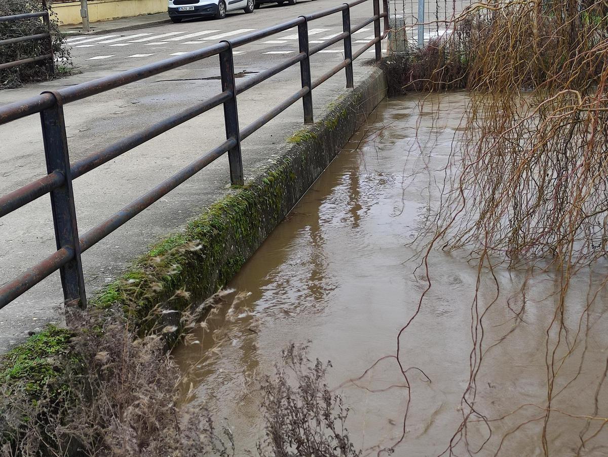 GALERÍA / El río Órbigo desbordado en Benavente, en imágenes GALERÍA / El río Órbigo desbordado en Benavente, en imágenes