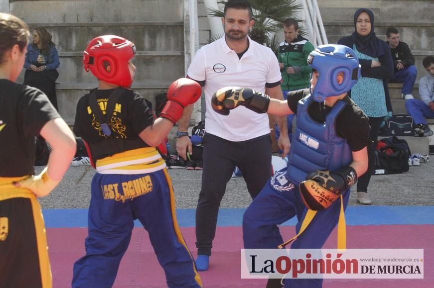 Fiesta del Deporte de Murcia (domingo)