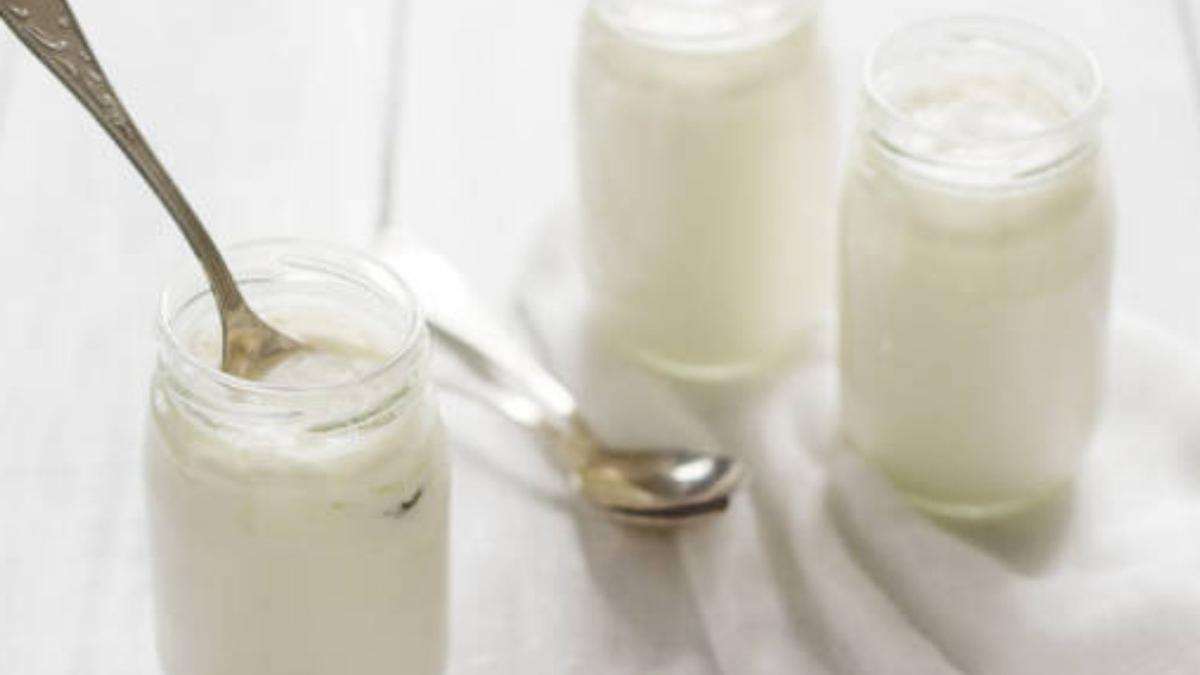 Tocino de yogur en tres minutos, sin horno, muy fácil de hacer y muy saludable