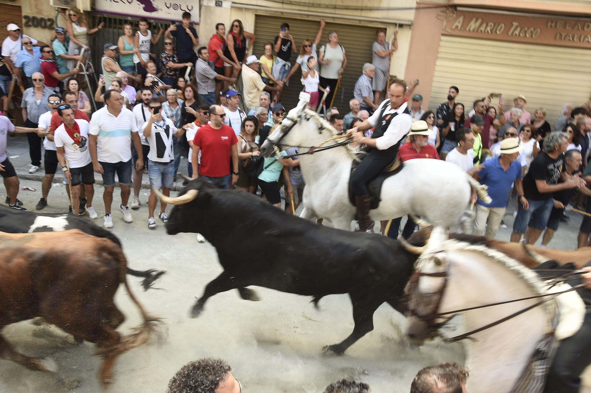 Las mejores fotos de la primera Entrada de Toros y Caballos de Segorbe tras la pandemia