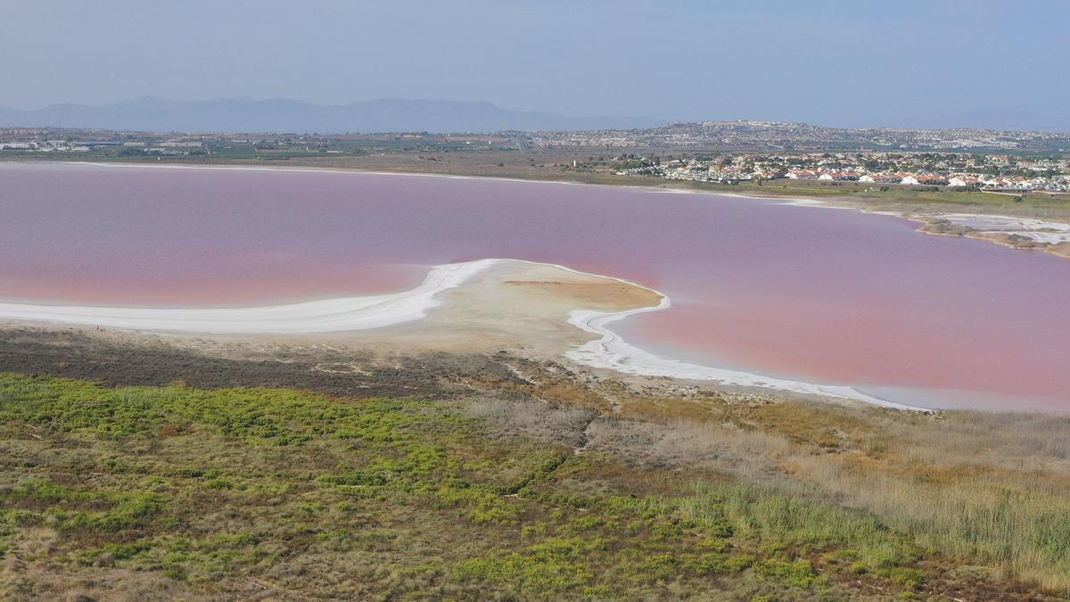 La laguna de Torrevieja recupera el rosa un año después