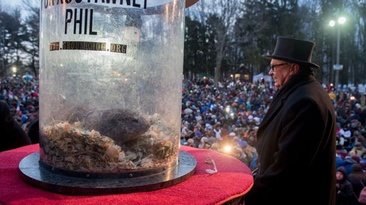 La marmota Phil prediu un llarg hivern.