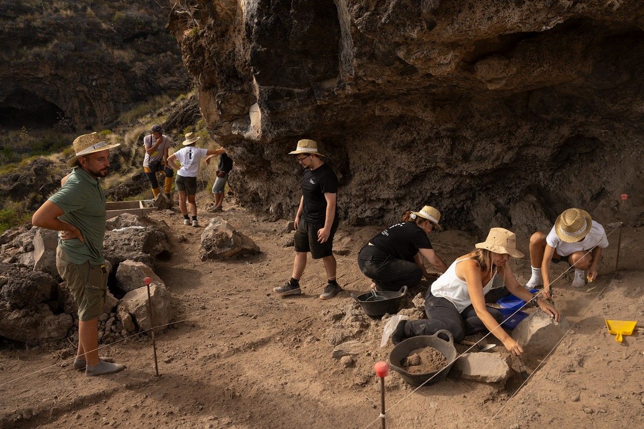 Las huellas 'palmeras' de Indiana Jones
