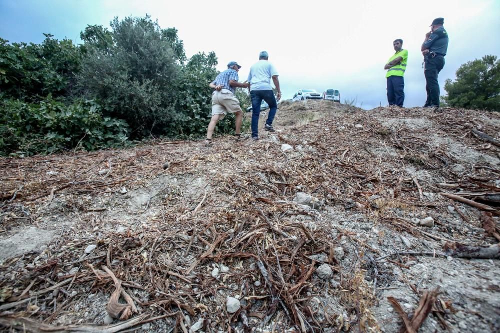 Agricultores y vecinos logran parar las máquinas que iban a triturar otra parcela afectada por la Xylella