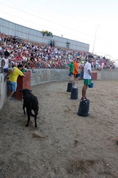 Fiestas en Zamora: Gran prix en Coreses