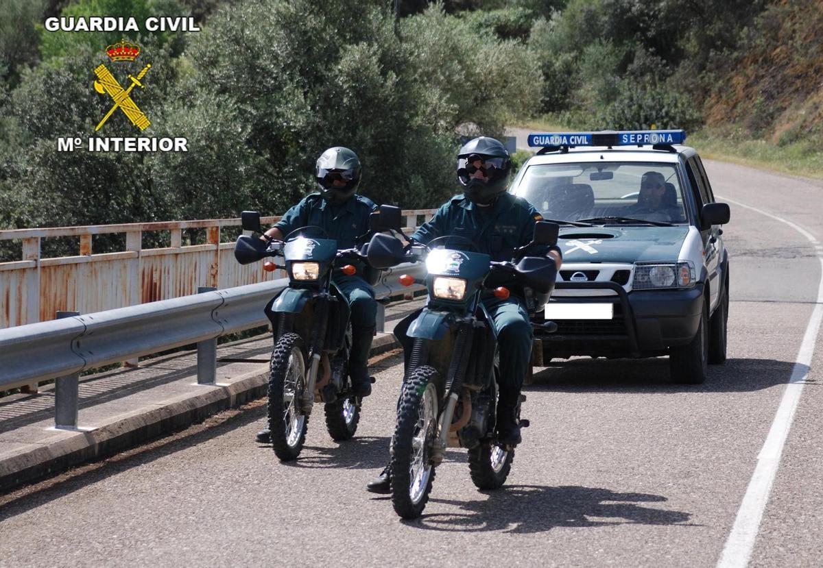 La policia rescata un gos maltractat en una finca ocupada al Catllar (Tarragona)