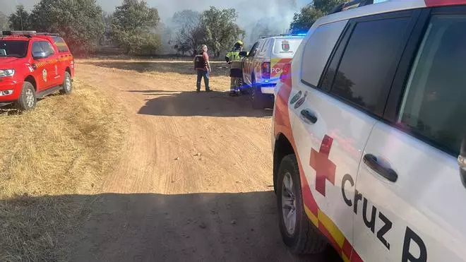 Fotogalería | Las imágenes del incendio de pastos en la carretera de Badajoz a Sevilla