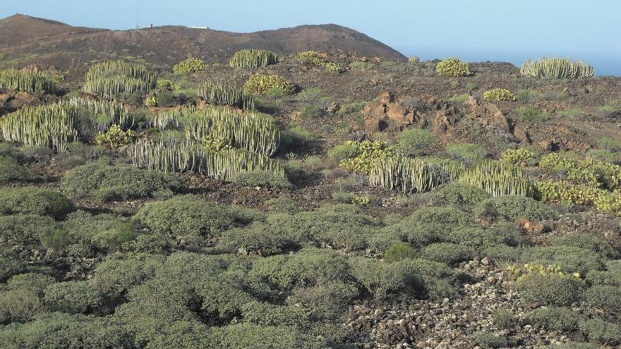 Vista del paisaje natural protegido de La Isleta