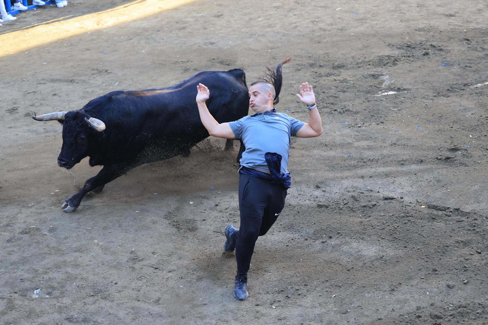 Las imágenes del primer encierro y de las exhibiciones taurinas de las fiestas de Almassora