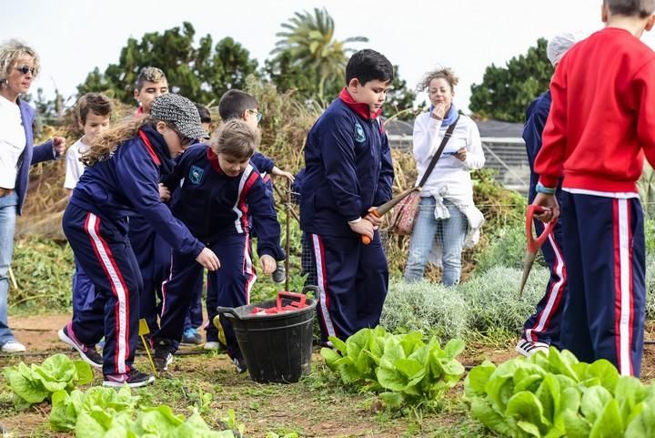 Visita escolar a la Granja Agricola del Cabildo