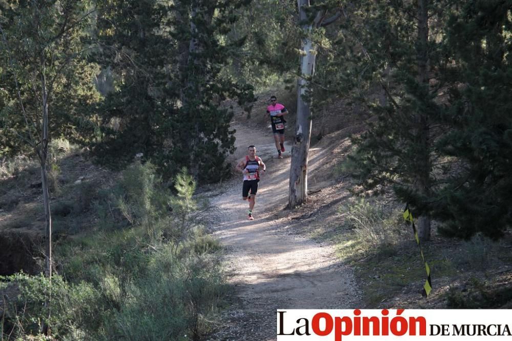 San Jorge Dragon en La Alcayna