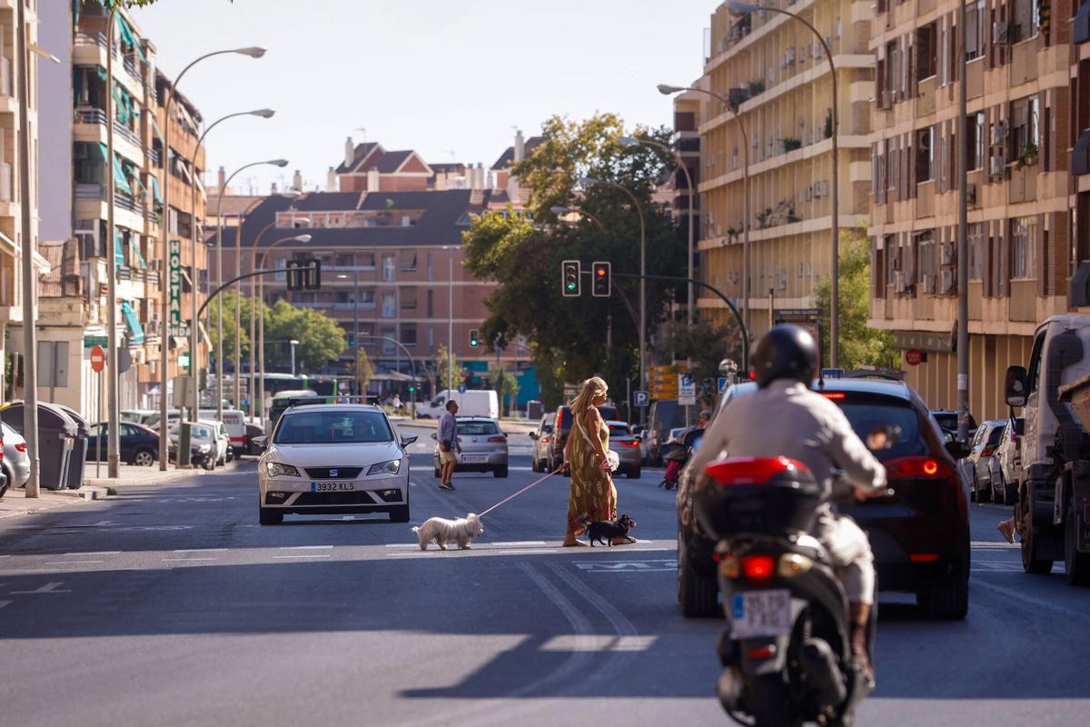 Avenida Ollerias, futuras reformas en las grandes avenidas de Córdoba