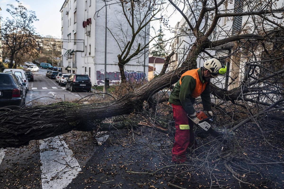 Efectos del temporal en Cáceres.