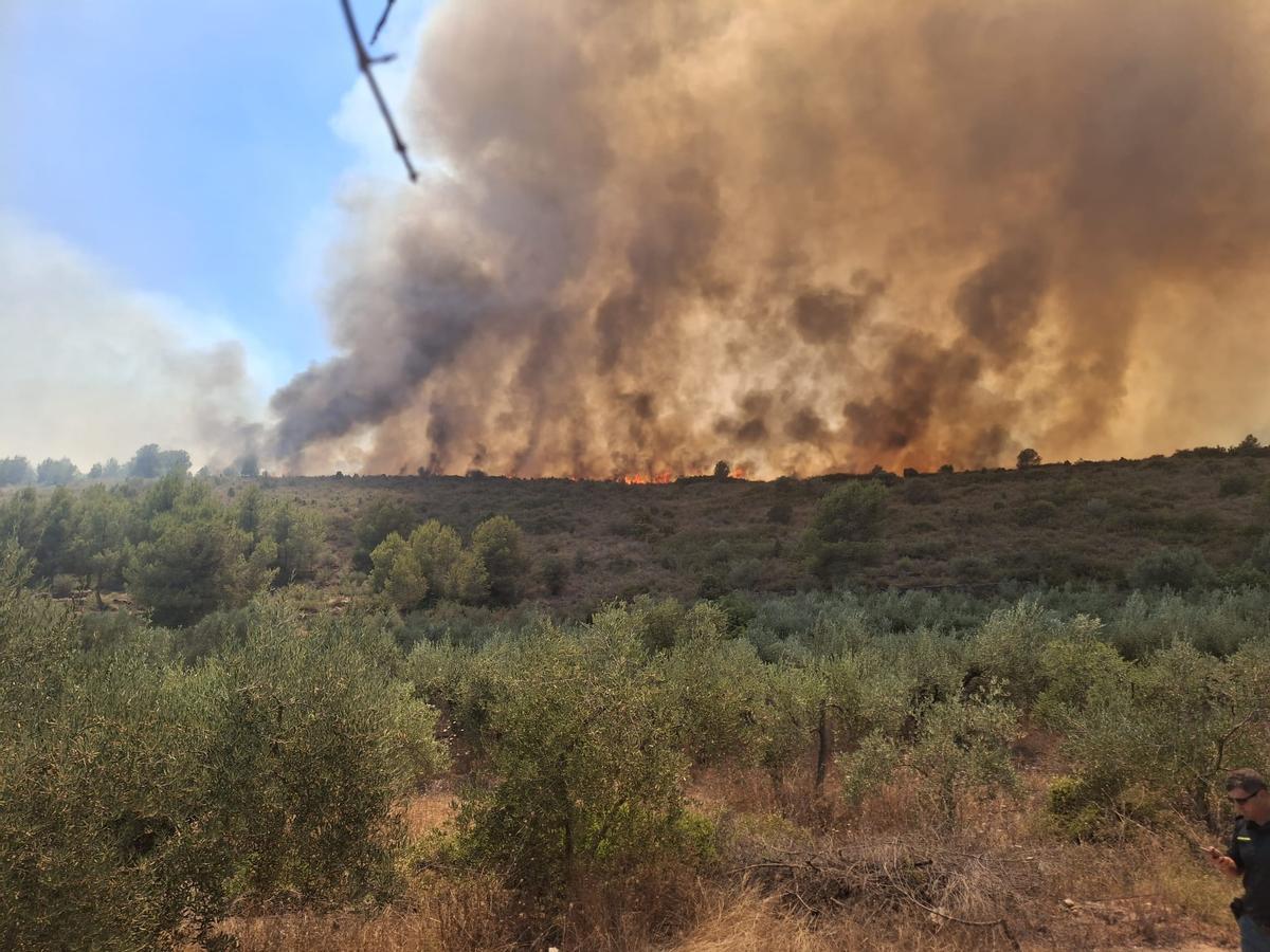 Una imagen del incendio tomada desde Azuébar.