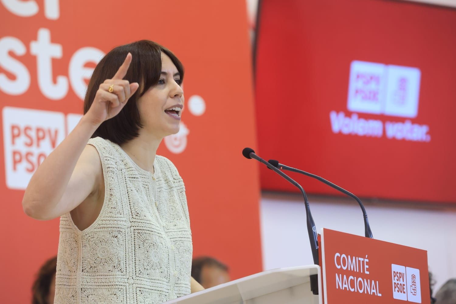 Todas las fotos del Comité Nacional del PSPV en València