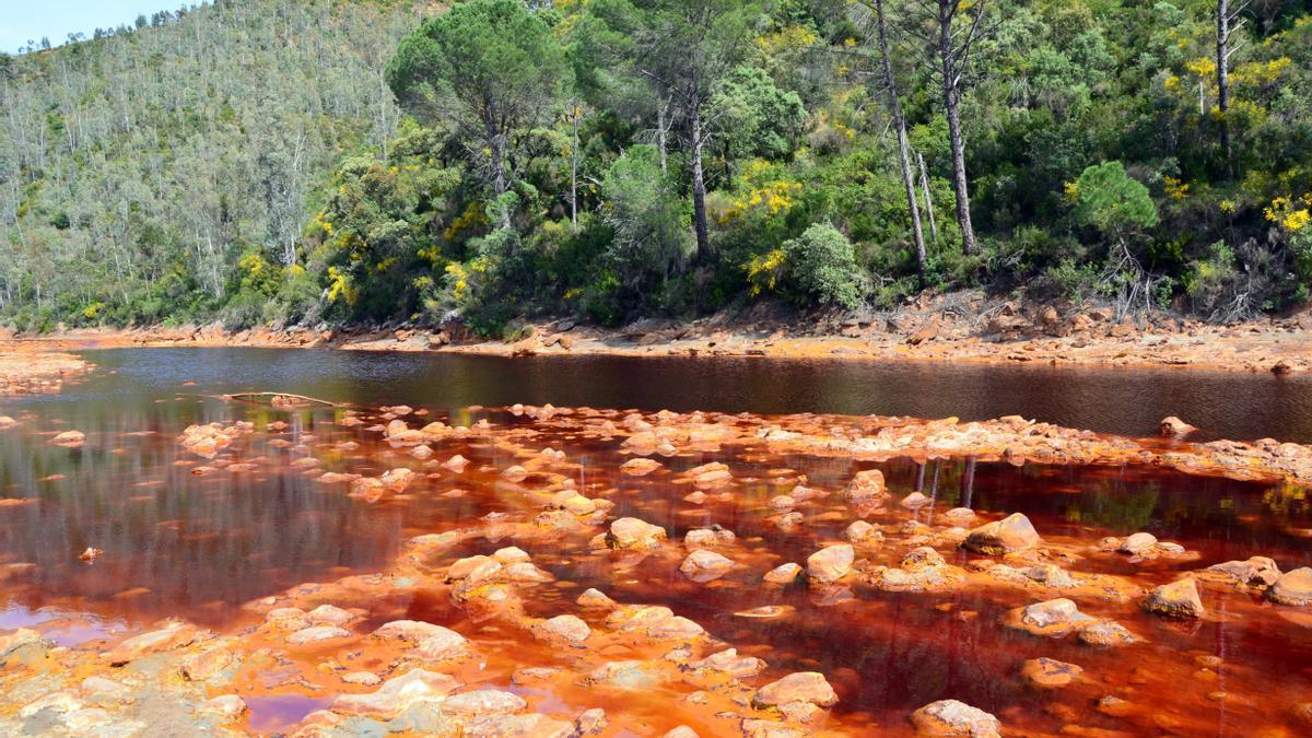 La mineralogía de Río Tinto y Marte es parecida.