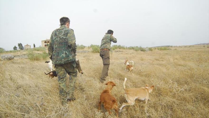 Los disparos accidentales en la caza han provocado cuatro muertos y 40 heridos en Extremadura